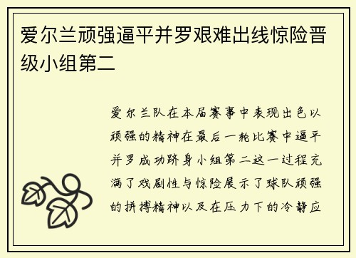 爱尔兰顽强逼平并罗艰难出线惊险晋级小组第二