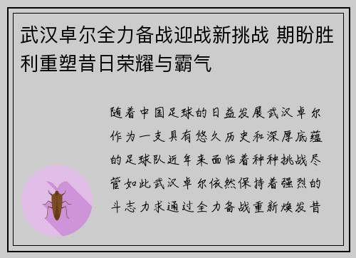 武汉卓尔全力备战迎战新挑战 期盼胜利重塑昔日荣耀与霸气
